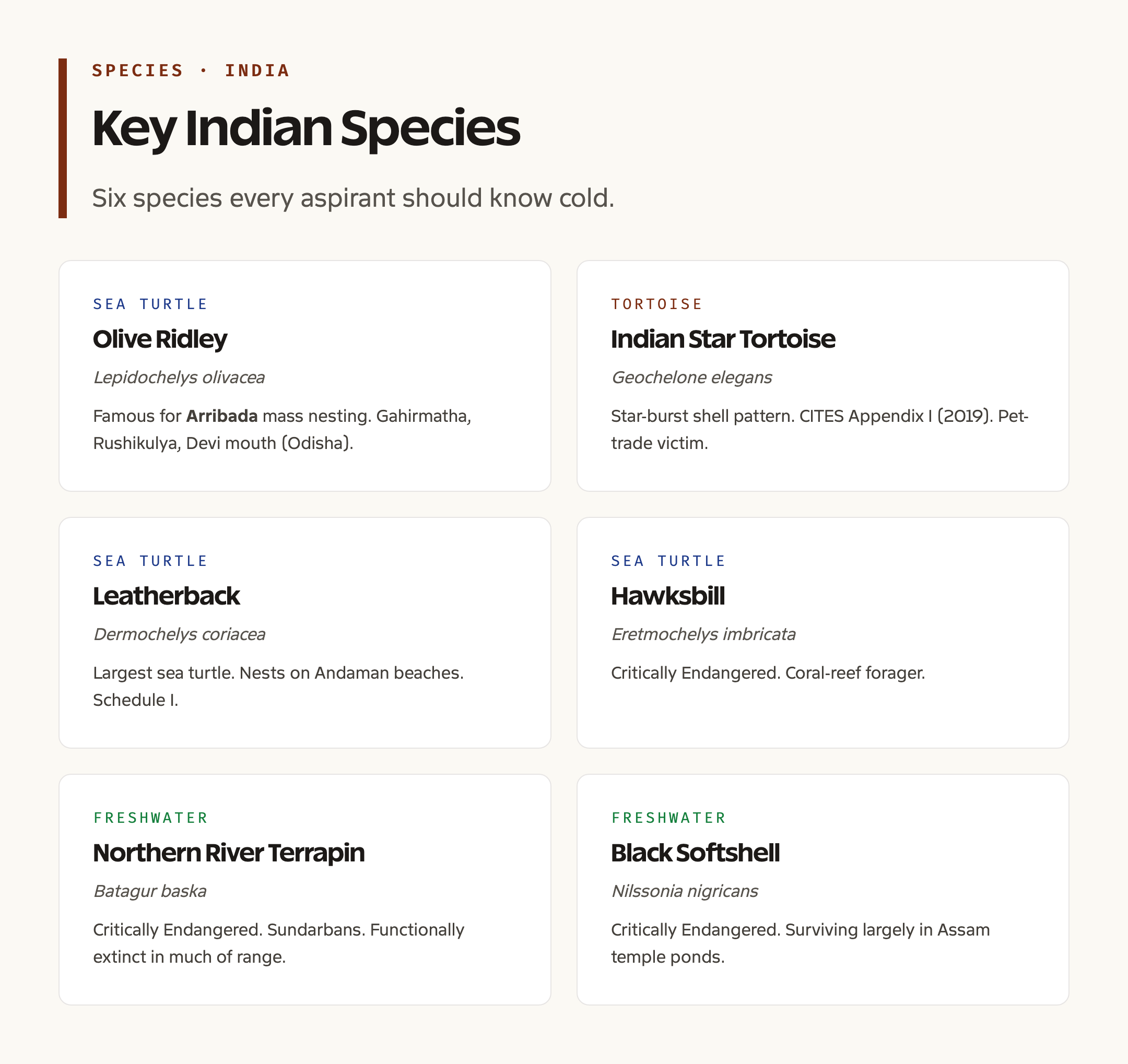 Turtles and Tortoises of India: Key Species Cards