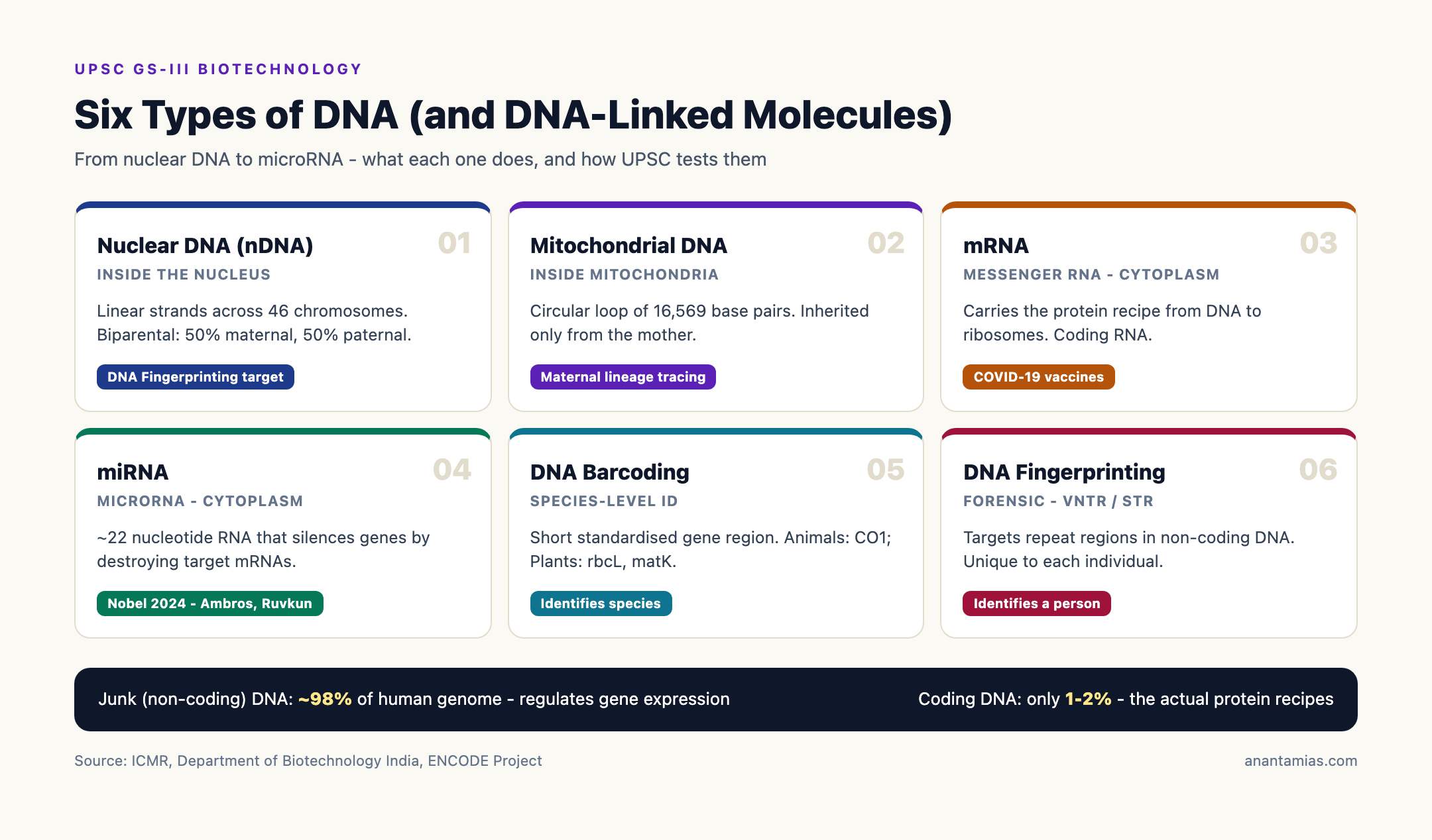 Six Types of DNA at a Glance