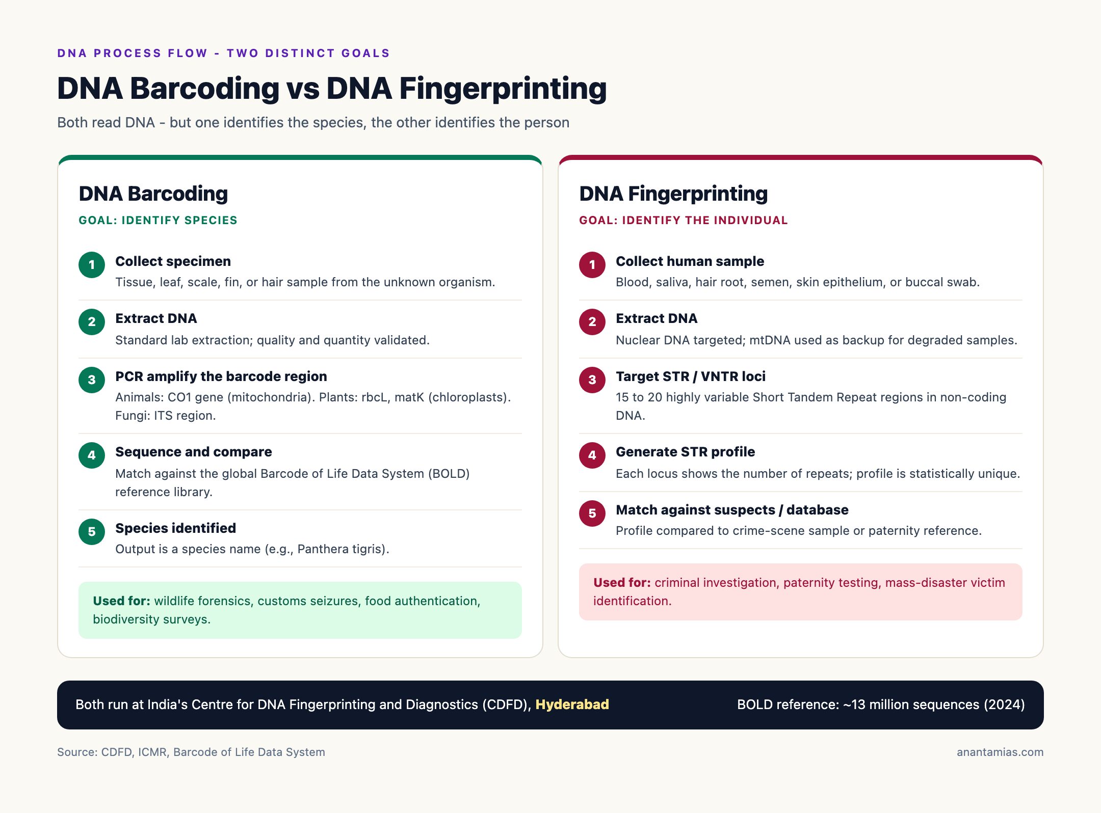DNA Barcoding vs DNA Fingerprinting Process
