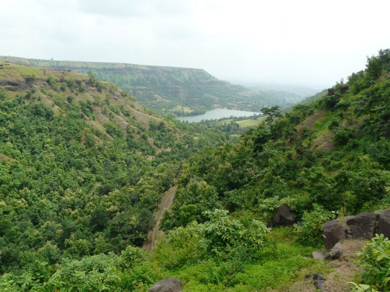 Vindhya Range - Vindhya Range