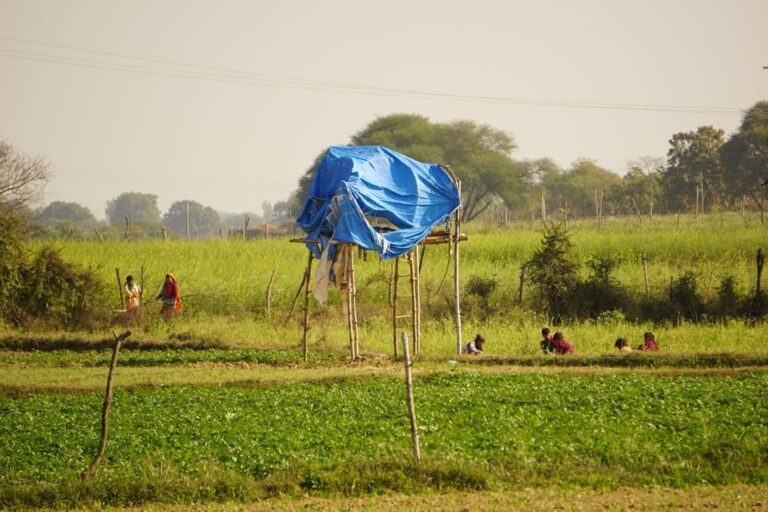 Multidimensional poverty