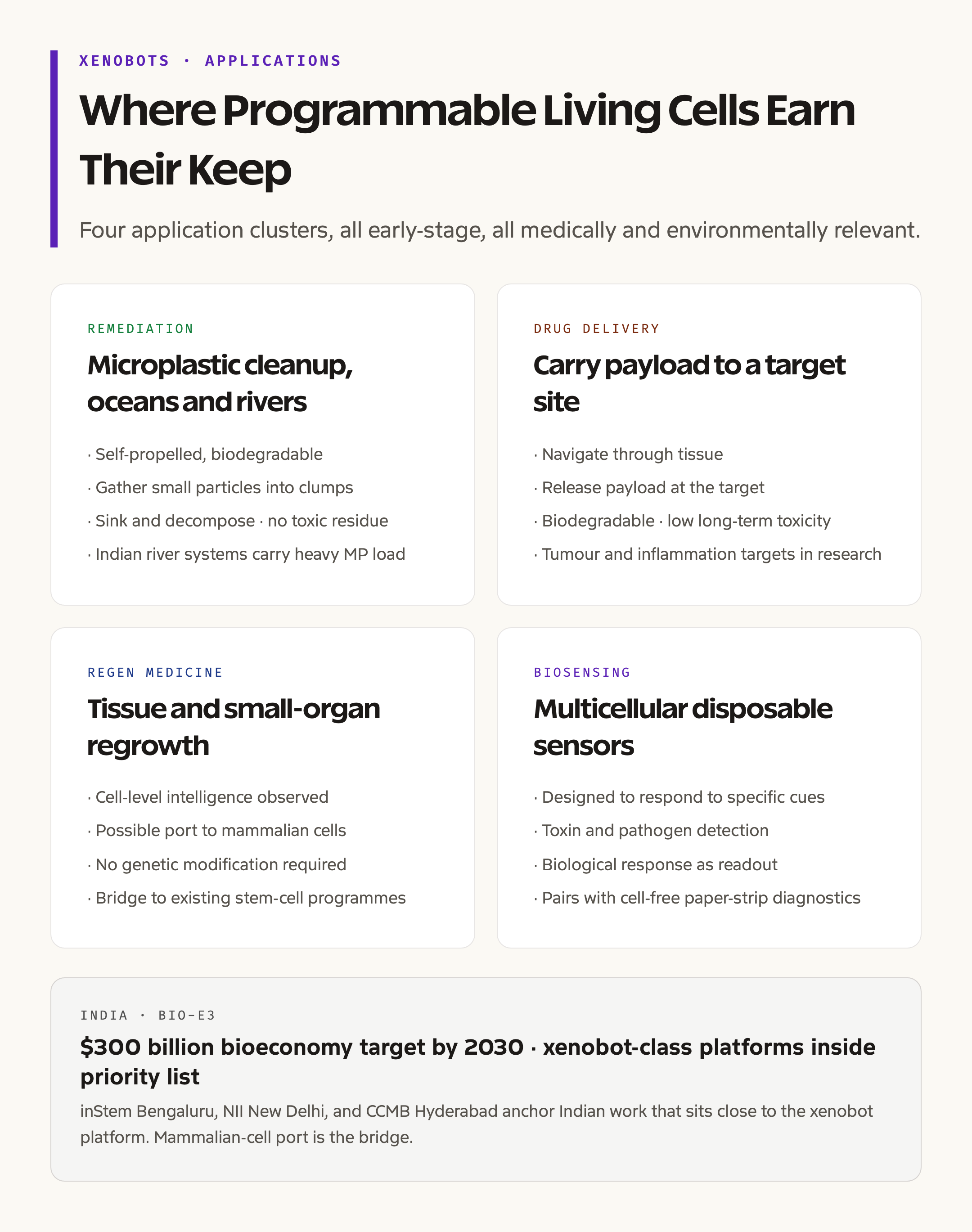 Xenobot Applications Grid: Microplastic Cleanup to Drug Delivery
