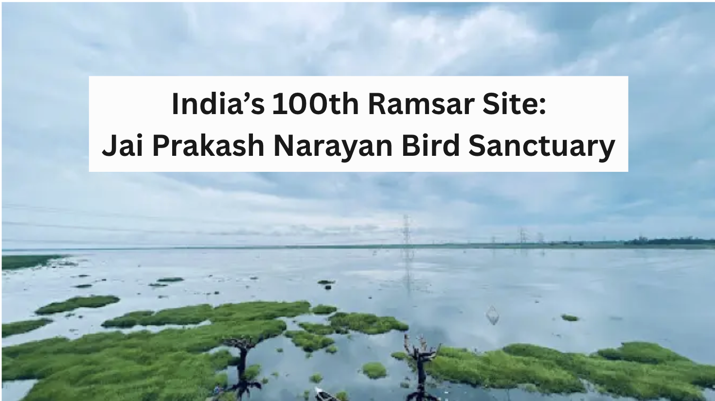 India’s 100th Ramsar Site: Jai Prakash Narayan Bird Sanctuary (Surha ...