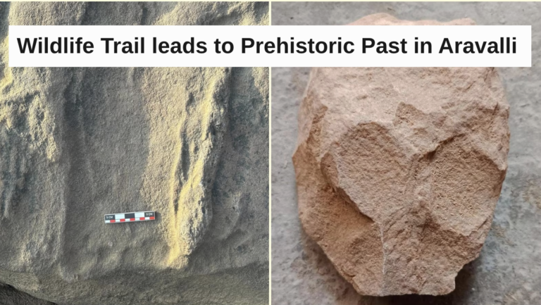 Wildlife Trail leads to Prehistoric Past in Aravalli
