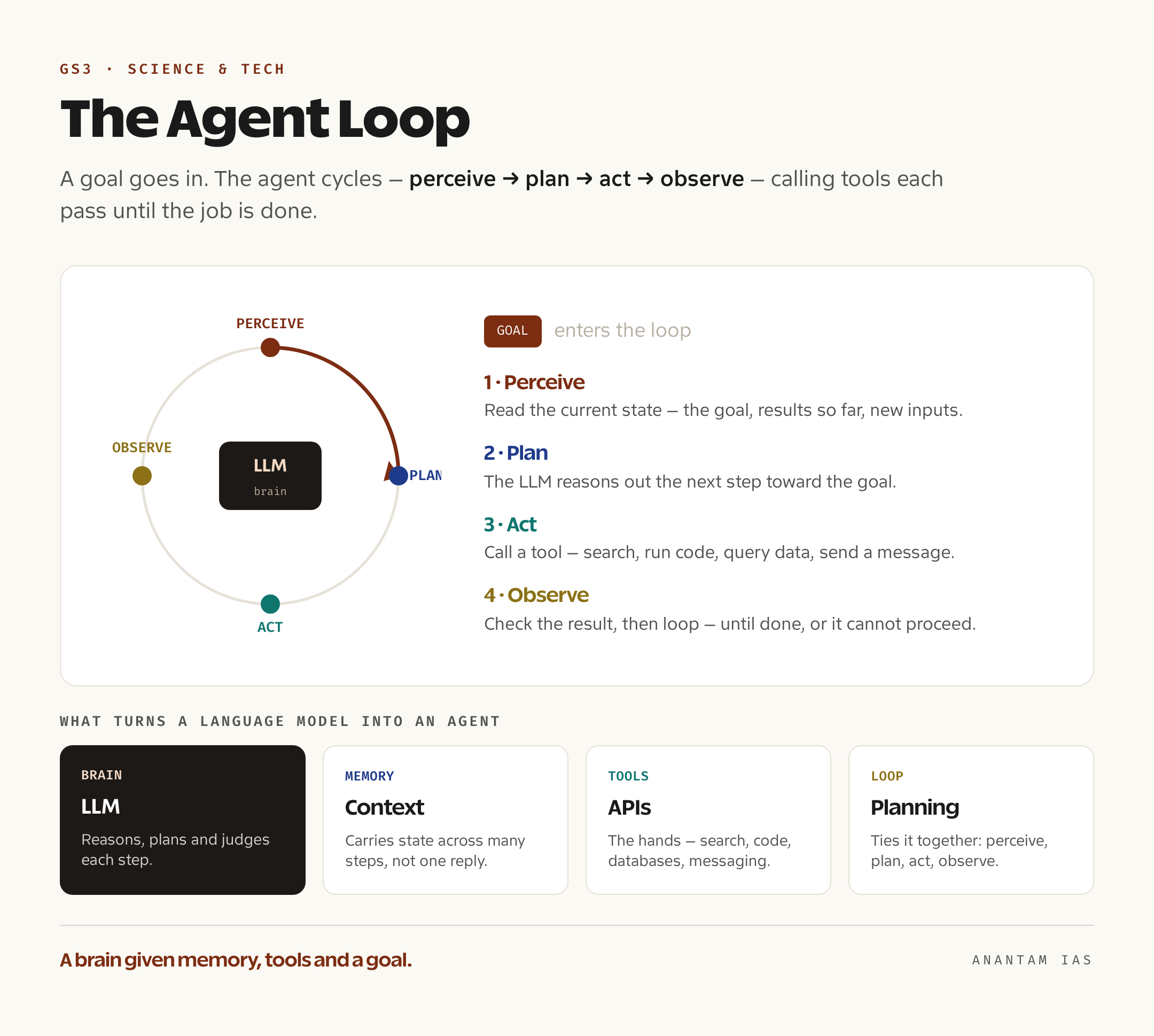 A diagram of the agent loop showing a large language model brain with memory and tools cycling through perceive, plan, act and observe until the goal is reached