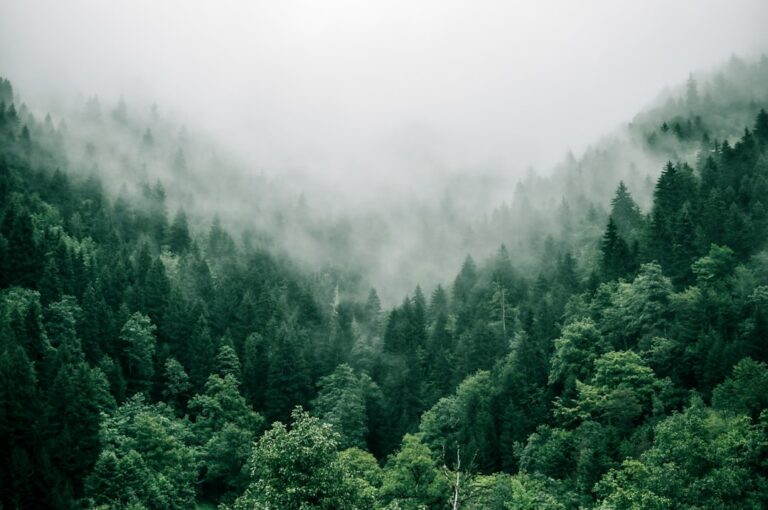 Best Environment Books for UPSC: Ecology and Biodiversity — recommended UPSC books