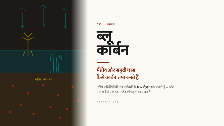 ब्लू कार्बन: मैंग्रोव और समुद्री घास कैसे कार्बन जमा करते हैं (UPSC पर्यावरण)