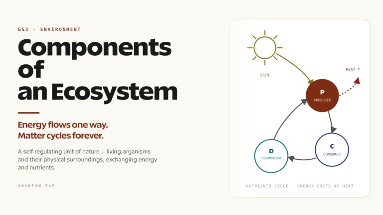 Components of Ecosystem: Biotic and Abiotic Explained