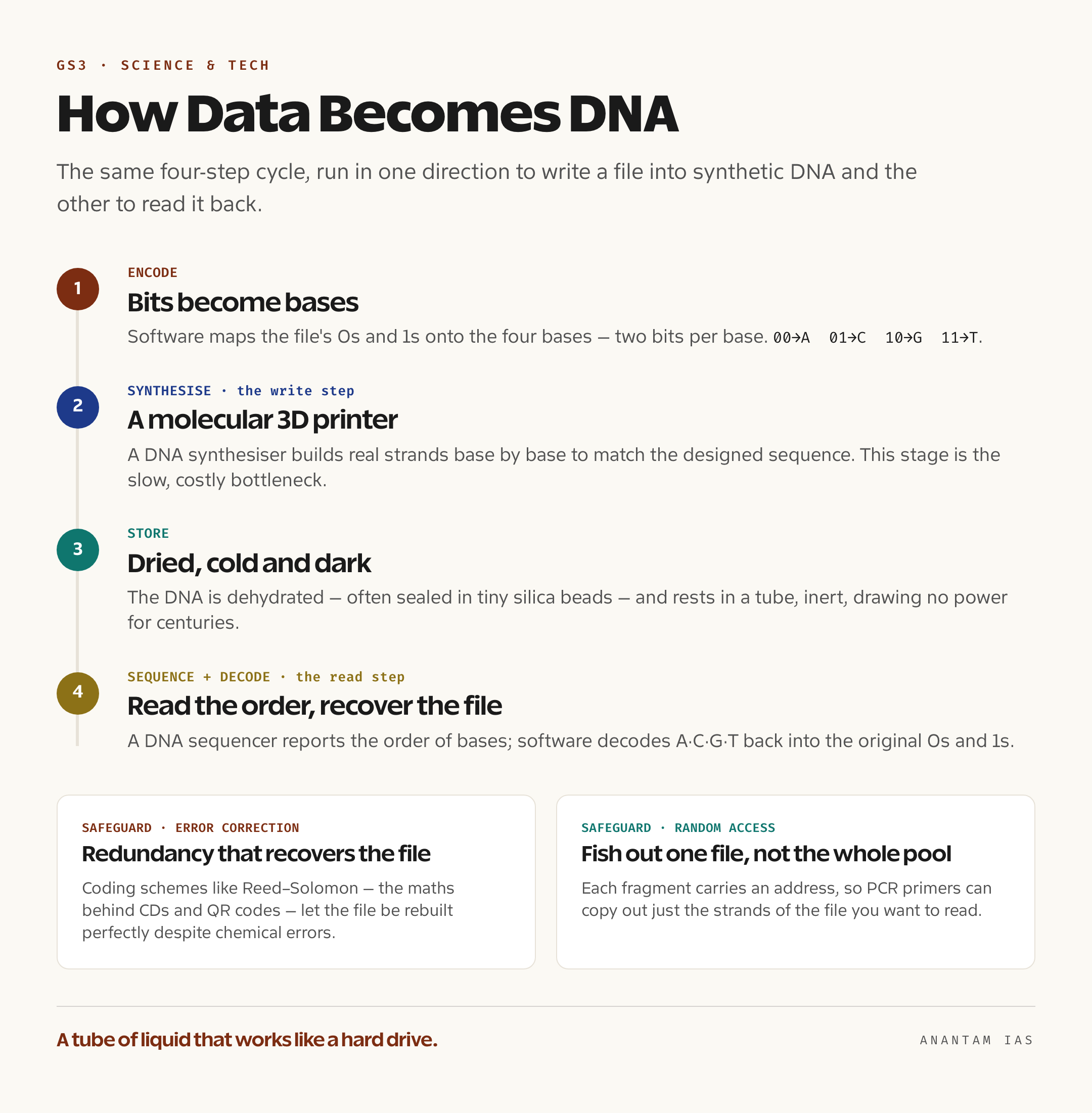 DNA डेटा स्टोरेज चक्र का चित्र जिसमें डिजिटल बिट चार बेसों A, C, G और T में कूटबद्ध होते हैं, भौतिक DNA लड़ियों में संश्लेषित होते हैं, एक सीलबंद ट्यूब में रखे जाते हैं, फिर सीक्वेंस होकर मूल फ़ाइल में वापस बदलते हैं