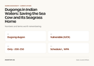 Dugongs in Indian Waters: Saving the Sea Cow and Its Seagrass Home graphic 1 for UPSC current affairs
