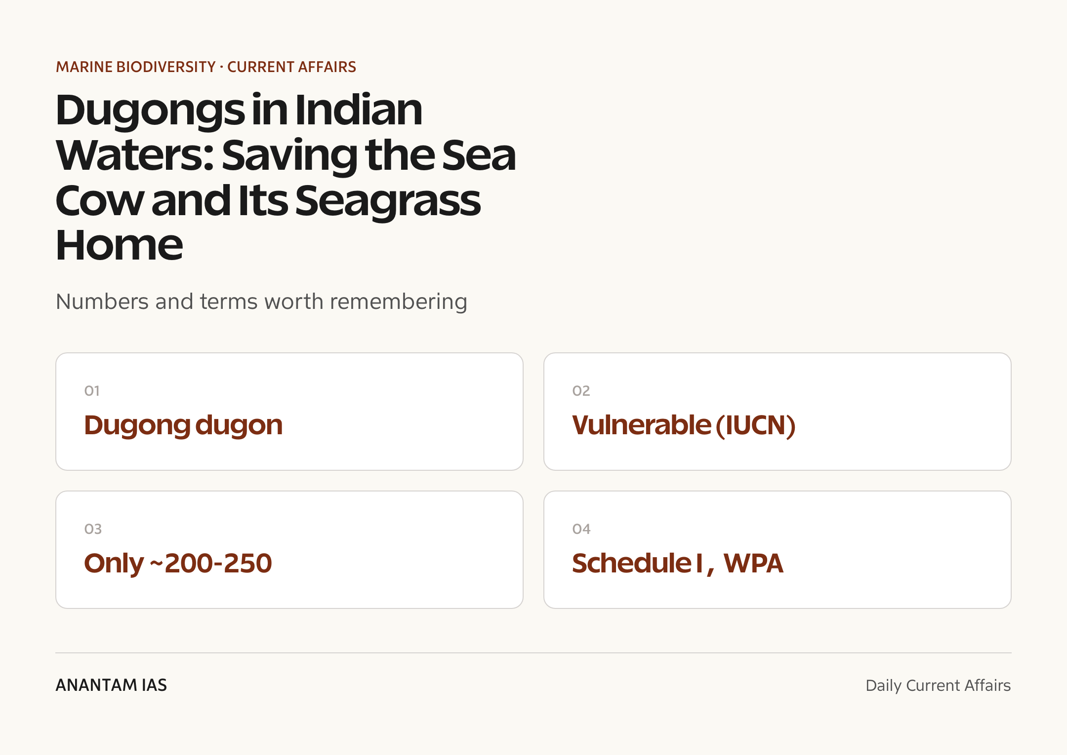 Dugongs in Indian Waters: Saving the Sea Cow and Its Seagrass Home — quick facts