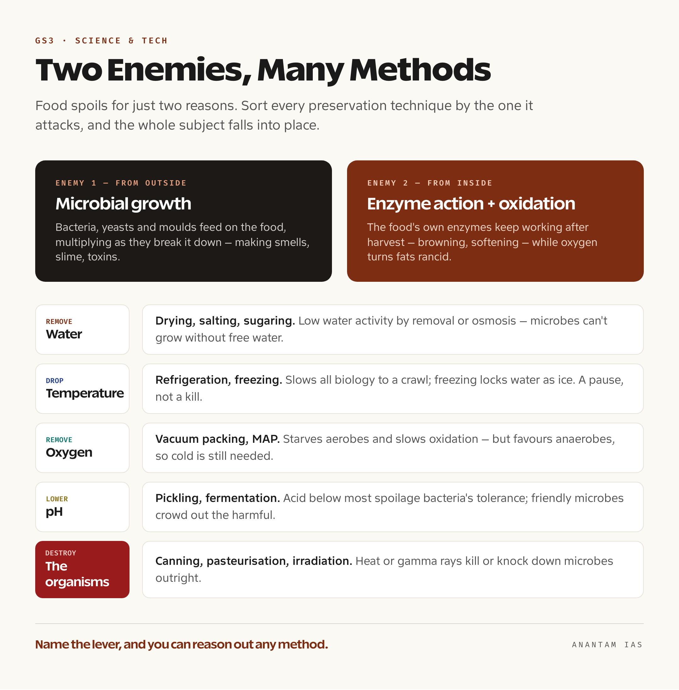 An infographic mapping the two causes of food spoilage — microbial growth and enzyme or oxidation action — to the preservation methods that target each, from drying and salting to canning, pasteurisation, refrigeration and irradiation