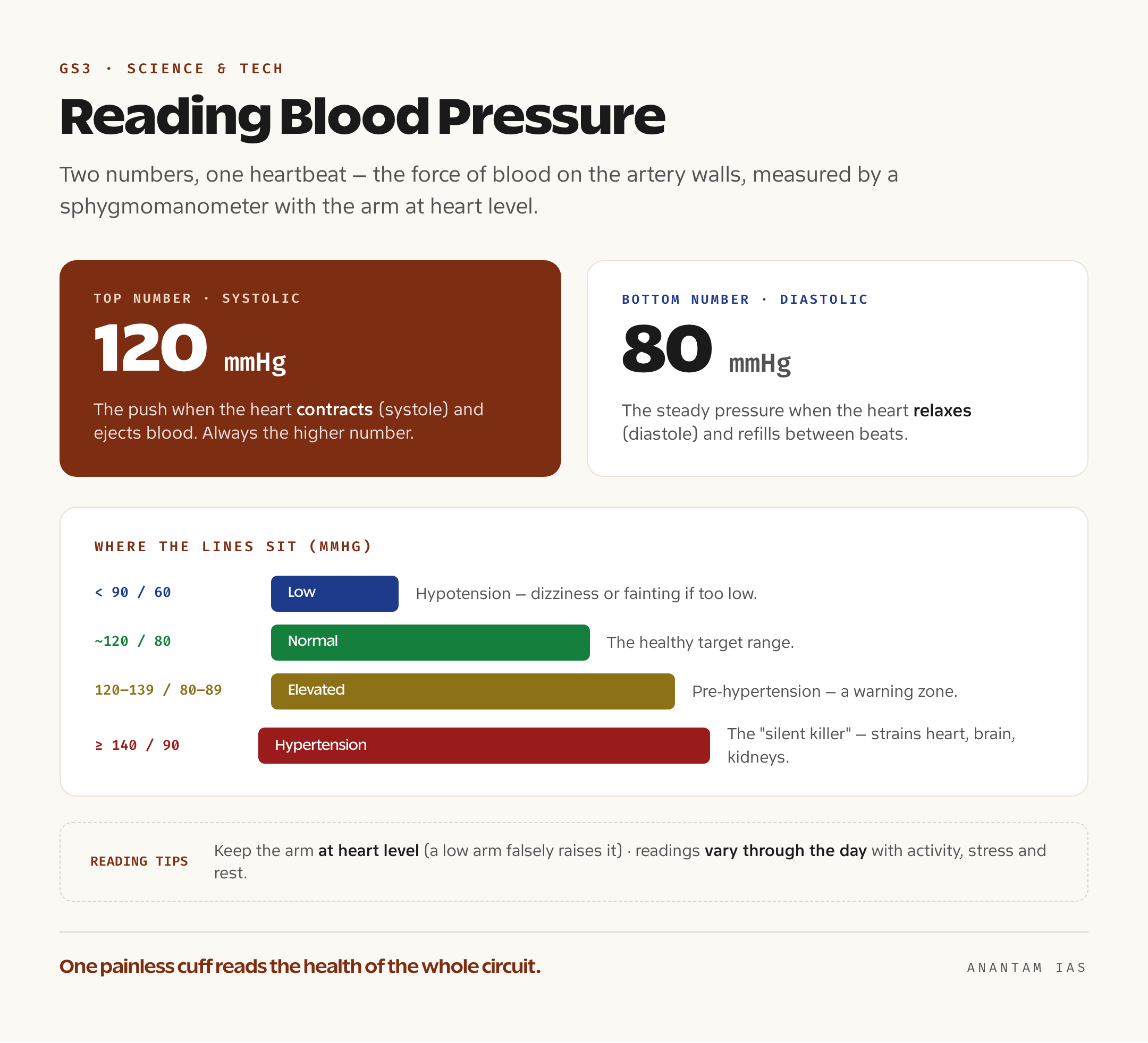Infographic explaining systolic and diastolic pressure, the normal 120 over 80 mmHg reading, and the bands for normal, elevated, hypertension and low blood pressure