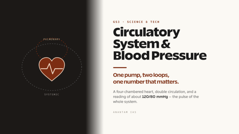 Human Circulatory System and Blood Pressure (UPSC Science & Tech)