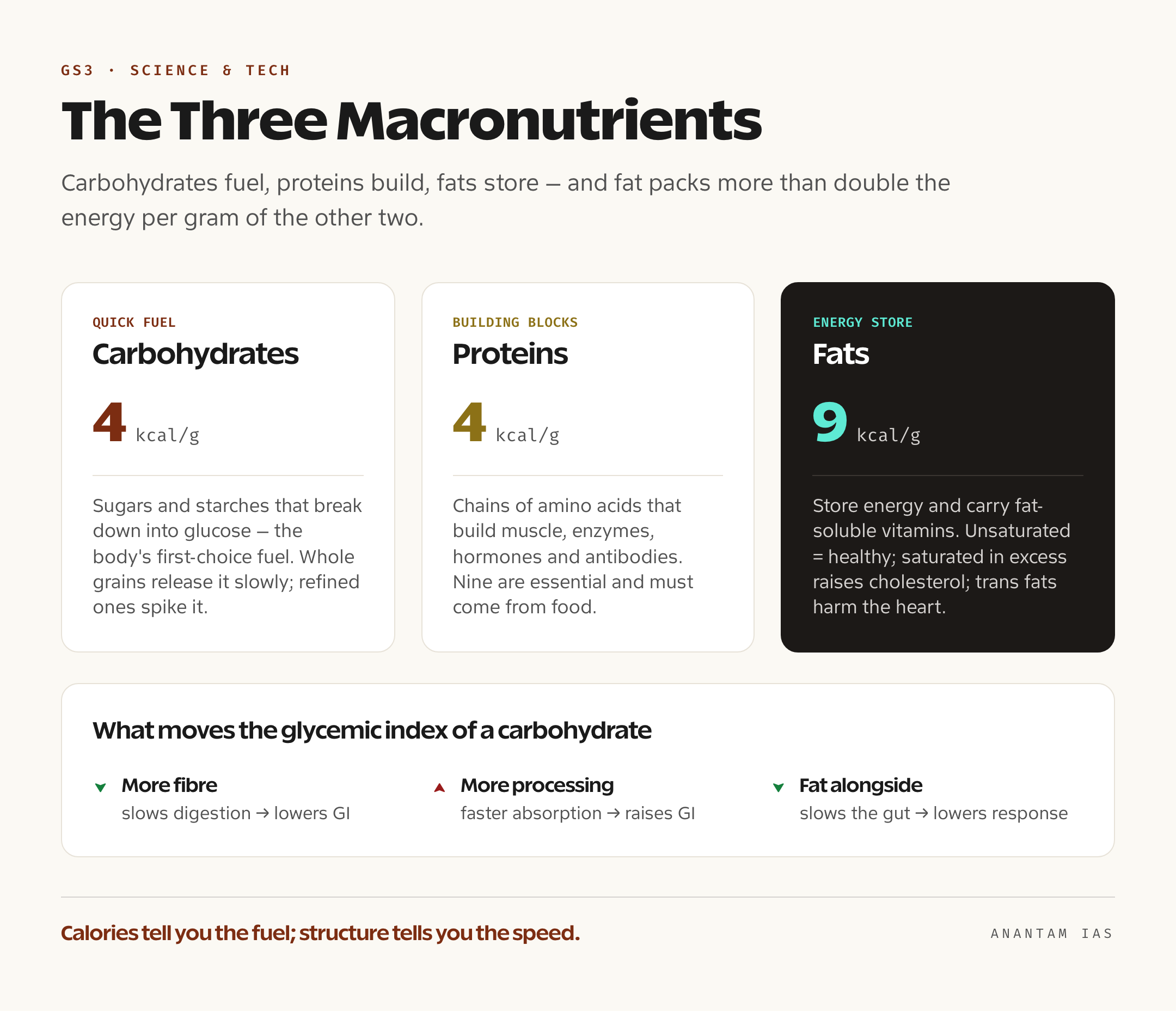 A comparison card of the three macronutrients — carbohydrates, proteins and fats — showing energy yield per gram and the primary role of each in the body
