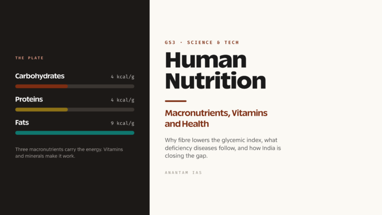 Human Nutrition: Macronutrients, Vitamins and Health (UPSC Science & Tech)