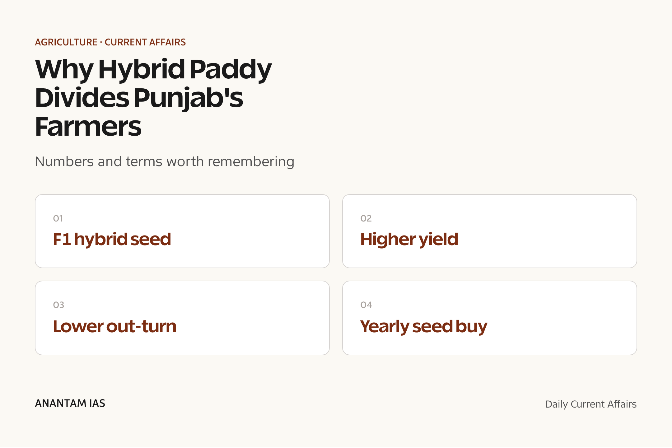 Why Hybrid Paddy Divides Punjab's Farmers — quick facts