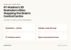 IIT-Madras's 3D Brainstem Atlas: Mapping the Brain's Control Centre graphic 1 for UPSC current affairs
