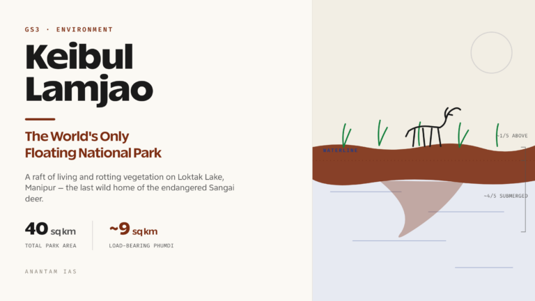 Keibul Lamjao National Park: World's Only Floating National Park