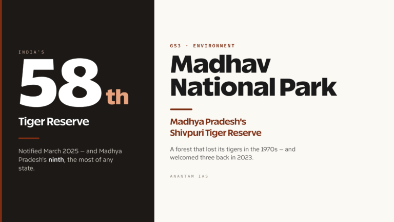 Madhav National Park: Madhya Pradesh's Shivpuri Tiger Reserve