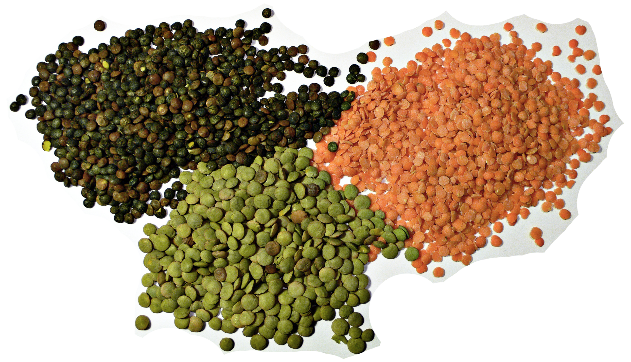 Harvested pulses and lentils in sacks at an agricultural market