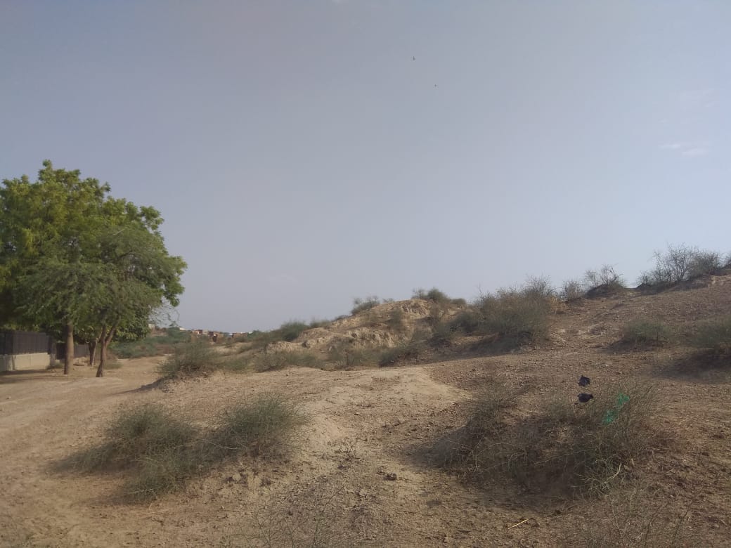 Excavated mounds at the Rakhigarhi Indus Valley Civilisation site in Hisar, Haryana