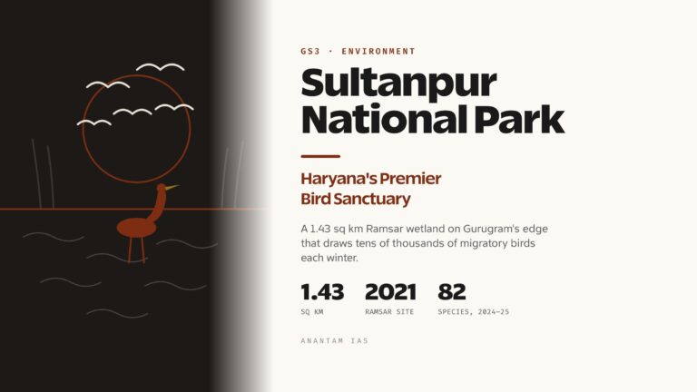 Sultanpur National Park: Haryana's Premier Bird Sanctuary
