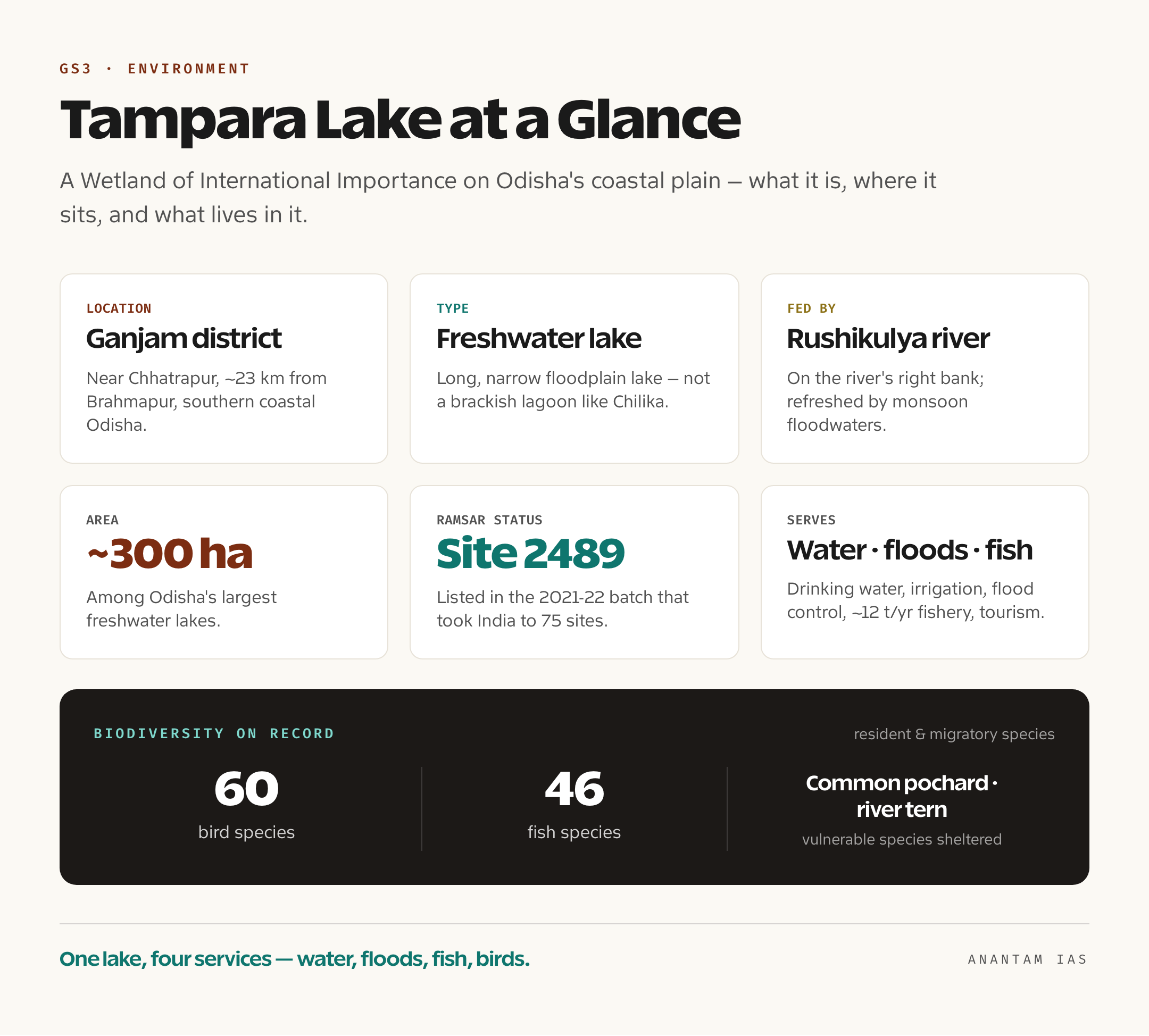 Quick-facts card for Tampara Lake showing its roughly 300-hectare area, freshwater type, location in Ganjam district on the right bank of the Rushikulya river, Ramsar designation, and its 60 bird species and 46 fish species