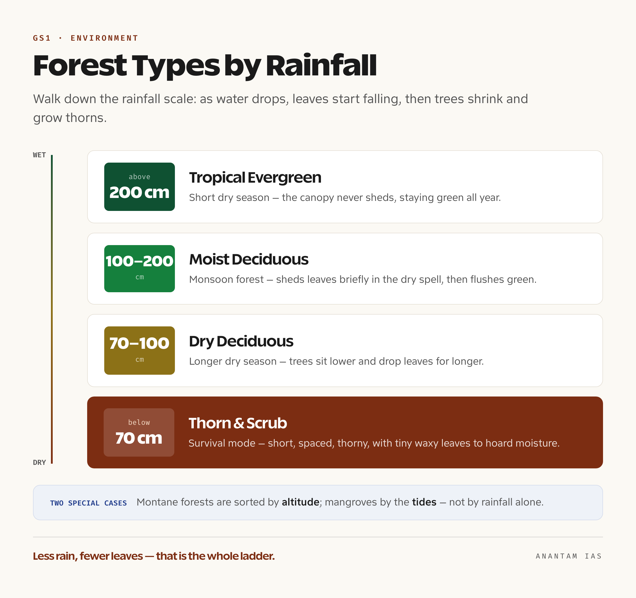 Rainfall ladder showing Indian forest types shifting from tropical evergreen above 200 cm down to thorn and scrub below 70 cm
