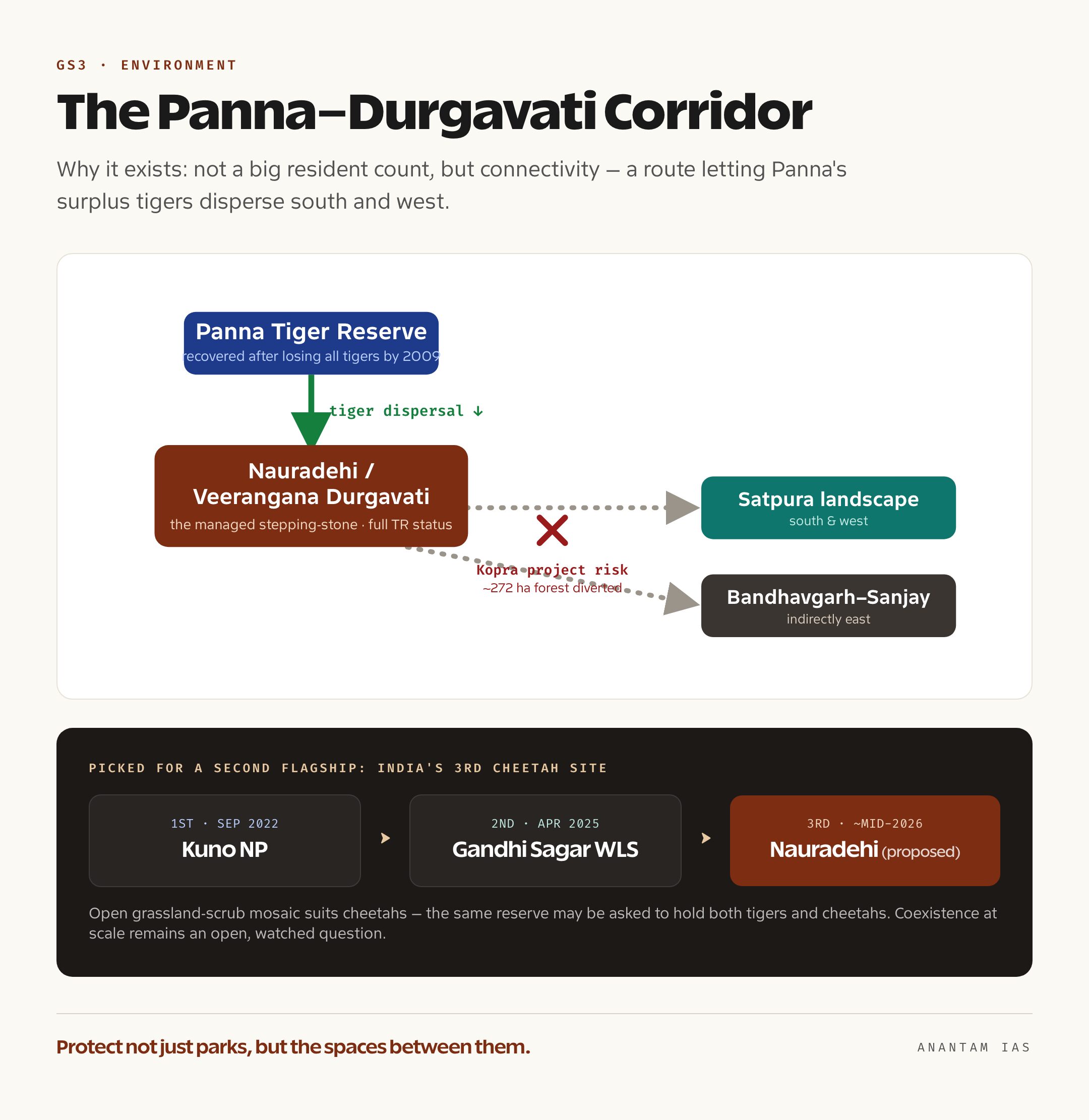 Schematic map of the Panna to Durgavati tiger corridor through the Nauradehi landscape