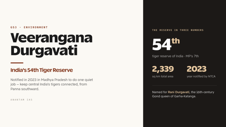 Veerangana Durgavati Tiger Reserve: India's 54th Tiger Reserve