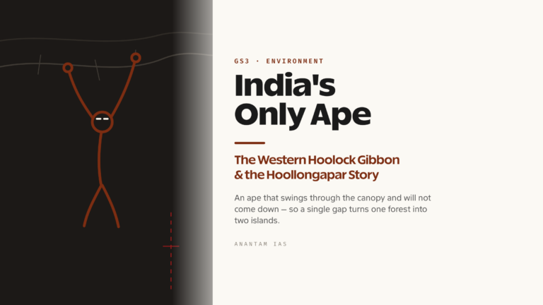 Western Hoolock Gibbons in India: Ape of the Northeast and the Hoollongapar Story