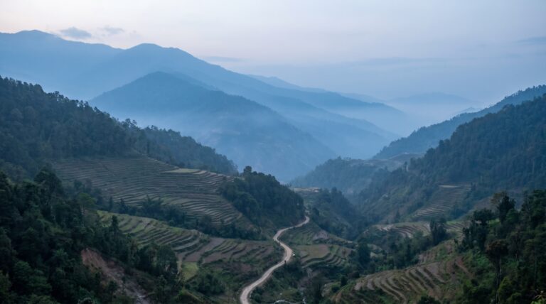Terraced hills and layered blue ridgelines in the northeastern Indian Himalaya at dawn