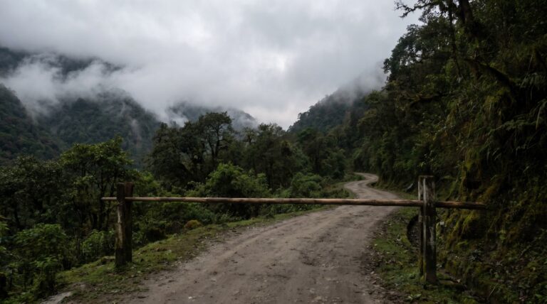 A barrier across a narrow forested hill road in northeast India in morning mist