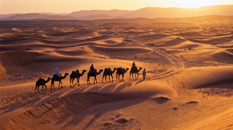 A camel caravan crossing golden sand dunes at sunset on an ancient trade route