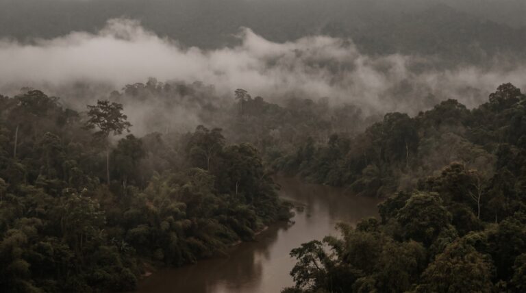 Misty jungle canopy and a winding river in Vietnam at dawn