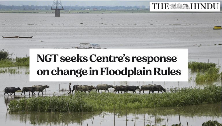 NGT seeks Centre’s response on change in Floodplain Rules
