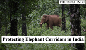 Protecting Elephant Corridors in India