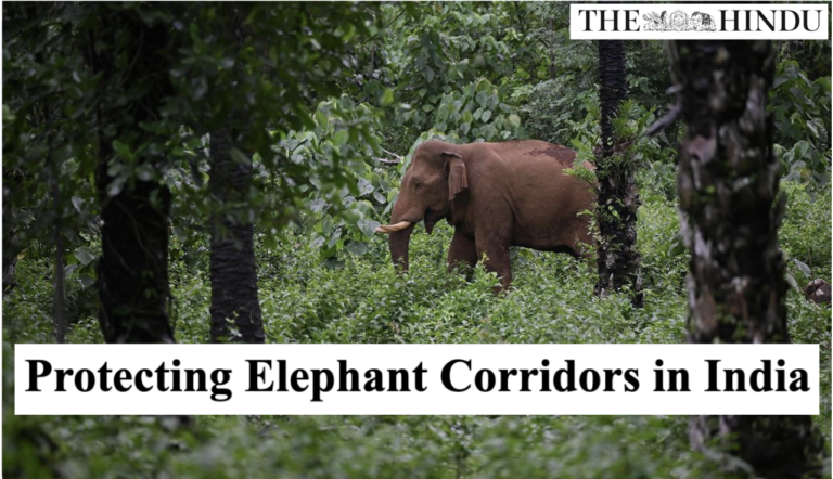 Protecting Elephant Corridors in India