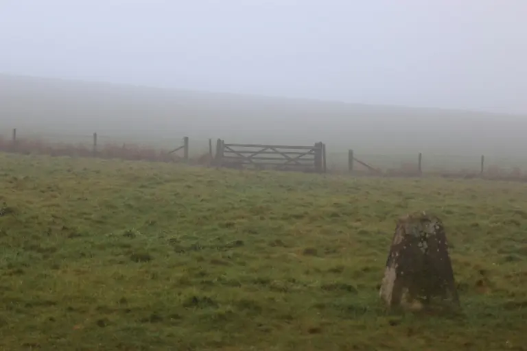 A boundary survey marker set in open country