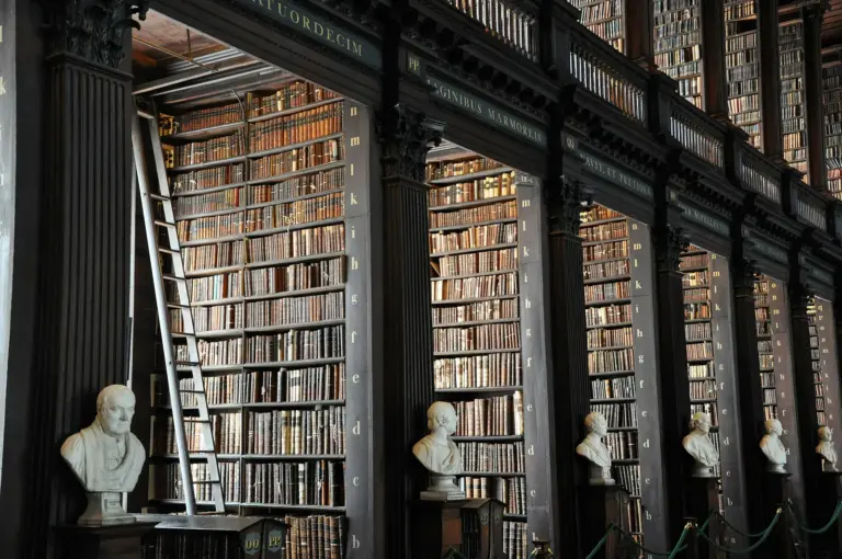 Bound statute volumes filling a law library
