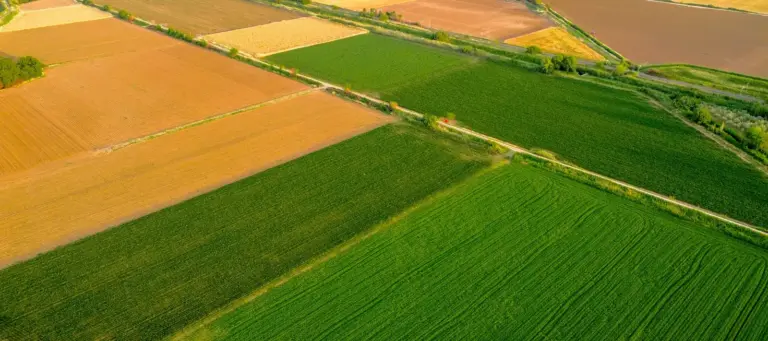A patchwork of differently cropped fields from above