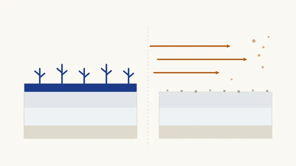 Two identical soil profiles side by side, one keeping its dark topsoil layer under vegetation and the other stripped bare, with wind carrying the lost layer away