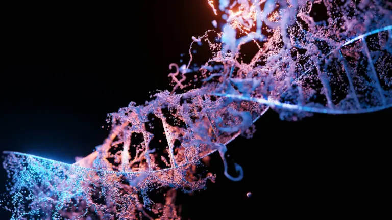 A double helix model under laboratory light