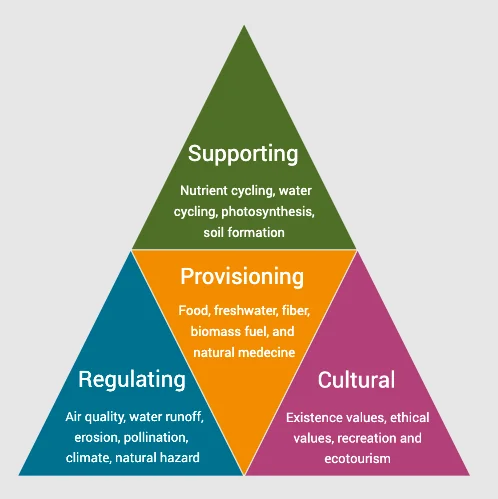 Ecosystem services: supporting, provisioning, regulating and cultural — from the Anantam IAS Mains QIP env-3 handout