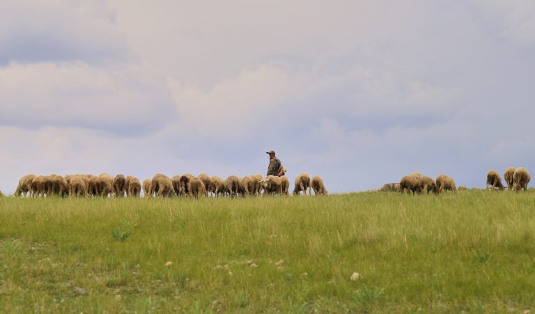 Featured image for UPSC Mains essay topic A good leader is one who follows the followers