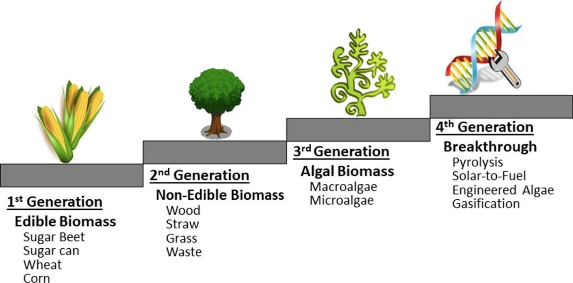 Ethanol Blending — diagram from the Anantam IAS Mains QIP handout