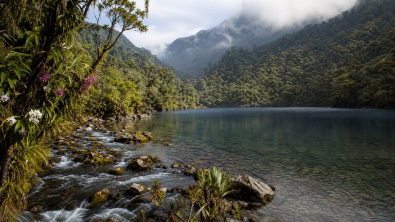 Forested Eastern Himalayan freshwater lake fed by a perennial mountain stream