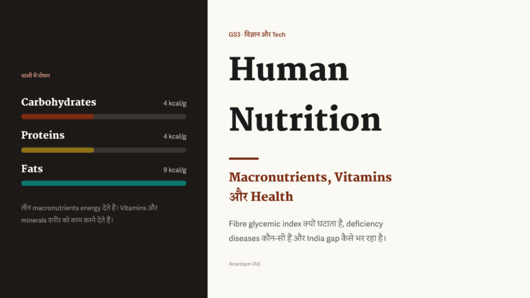 Human nutrition के macronutrients, vitamins और health का हिंदी featured graphic।