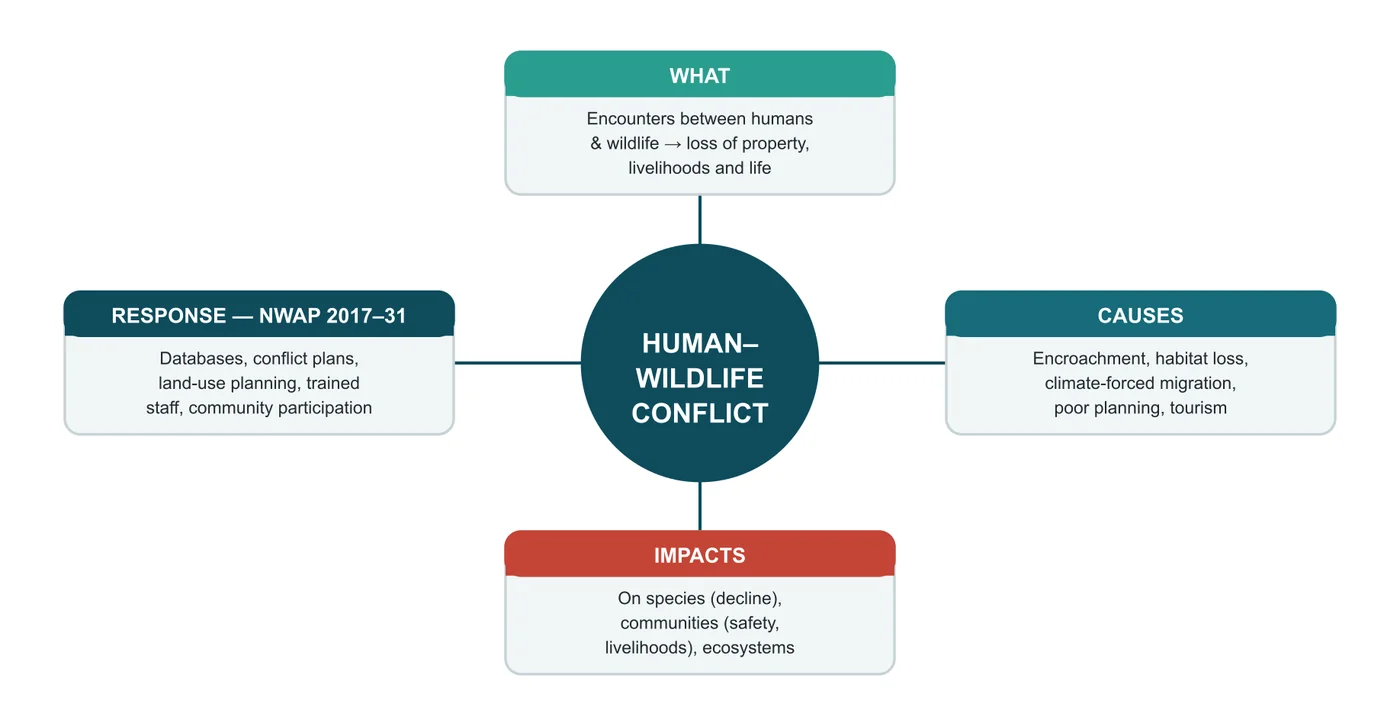 Human–Wildlife Conflict (HWC) — diagram from the Anantam IAS Mains QIP handout